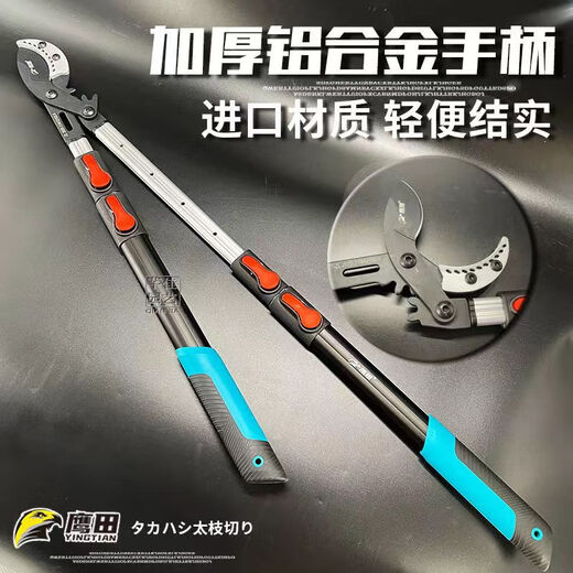 Tijeras para ramas gruesas japonesas Takada Gear Tijeras telescópicas potentes para ramas altas de árboles frutales de jardín y potentes tijeras para ramas gruesas. Tijeras no retráctiles pico de águila 9 cm