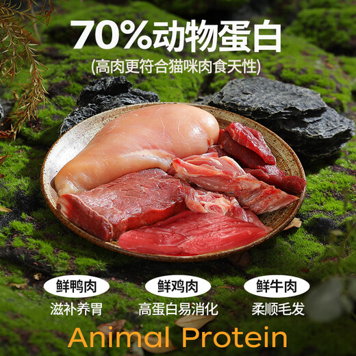力狼力狼猫粮 幼猫奶糕宠物天然粮全价全猫种通用 鲜肉配方-幼猫专用2.5kg
