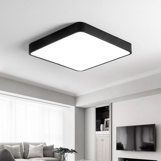 Leilei Zhiguang LED induction ceiling light voice-controlled radar human body induction light corridor aisle corridor balcony home smart light square 23cm radar 12W default black