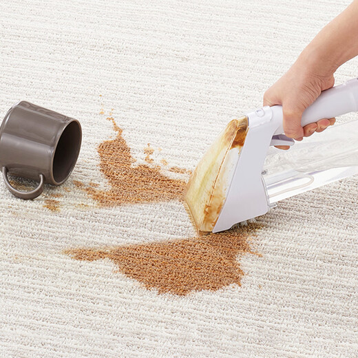 IRIS sofa carpet household small fabric cleaning machine spray and suction integrated cleaning machine vacuum cleaner fabric cleaning machine RNS300