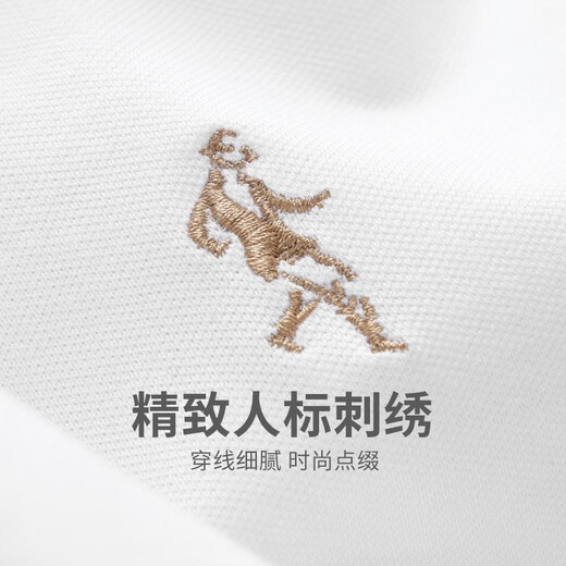 Dancing with Wolves [with mulberry silk] round neck short-sleeved T-shirt for men 2025 summer new embroidery cool breathable base short t6623 white 803 L (175)