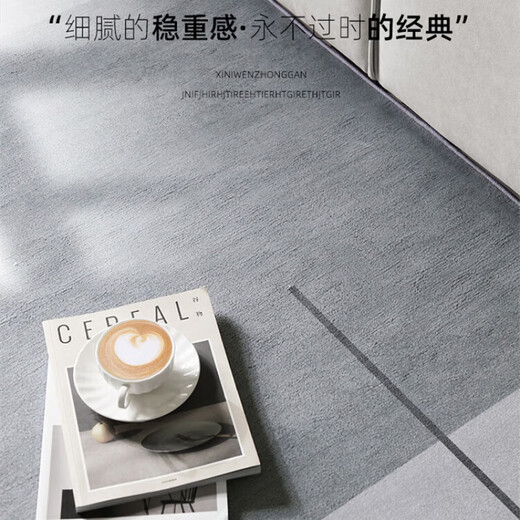 
Hazar HAZARD Living Room Carpet [Environmental Three-proof Ring Fleece] Coffee Table Carpet Modern Simple Sofa Bedroom Floor Mat Customizable for Home Use Modern 15902 80*200cm