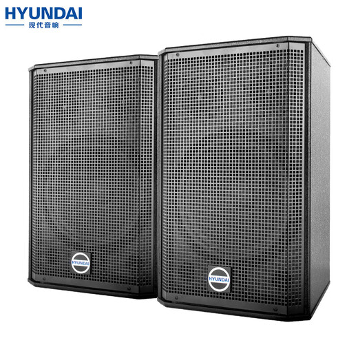 HYUNDAI modern professional 10-inch speakers, home theater KTV audio home combination, professional entertainment activities, karaoke conference stage equipment, professional vertical box BK10 speaker pair