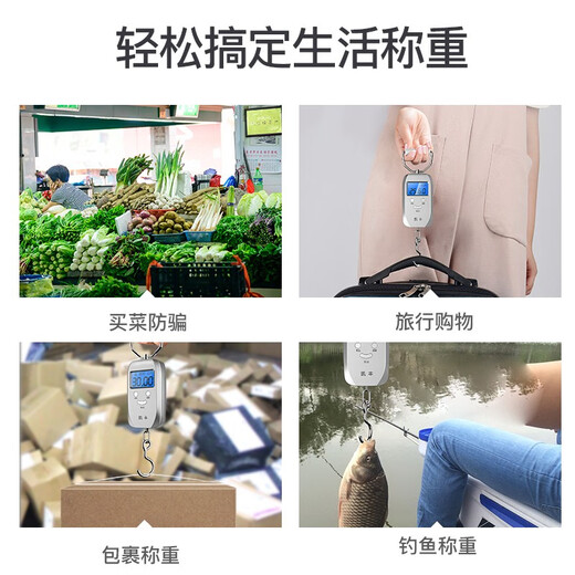 凯丰 手提电子秤手提秤便携式高精度家用快递称弹簧秤称重食物行李称 【充电款】银灰色+快充线50kg5g