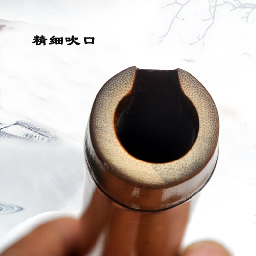管子先生大共鸣南萧桂竹专业收藏南箫演奏级南音箫 一节八孔G调正手
