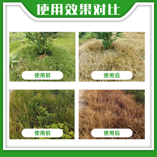 Yuzhangmenjing glufosinate ammonium salt herbicide uprooted and dead orchard wasteland reed small flying fluffy grass herbicide genuine herbicide 1000g * 1 bottle free 1 bag of auxiliary agent