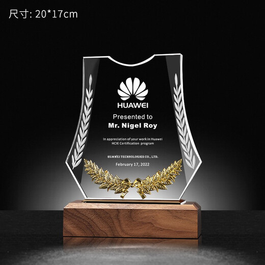 Feichuang Space und High-End-Holzkristall Trophäe Customized Souvenir Design und Produktion ausgezeichnete Trophäe Autorisierte Kartenpreisträgerin und Belohnungsdenkmale Sonderpreis Mini-Modell