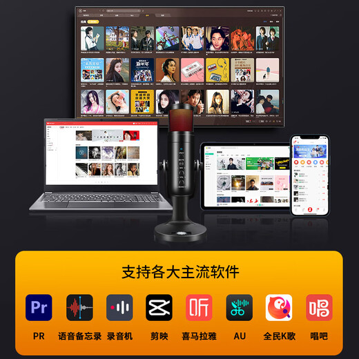 Wandi Core Upgrade Audiobook Special Recording Equipment Himalayan Dubbing Microphone Online Class K Singing Live Broadcast Microphone Mobile Computer USB Noise Reduction Conference Android Apple Colorful Version - Mobile Live Recommendation Professional Recording - Charging and Broadcasting