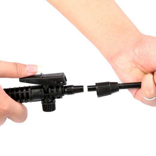 Shixia (seesa) Shixia brand watering kettle, gardening watering kettle, watering flower, pesticide sprayer, agricultural manual air pressure sprayer 5L with all-copper telescopic pole