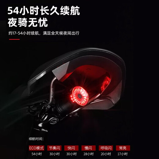 塔斯队长（TOSUOD）自行车尾灯智能感应刹车灯骑行装备山地车公路车充电警示夜骑尾灯 CNC合金【坐杆款】升级灵敏