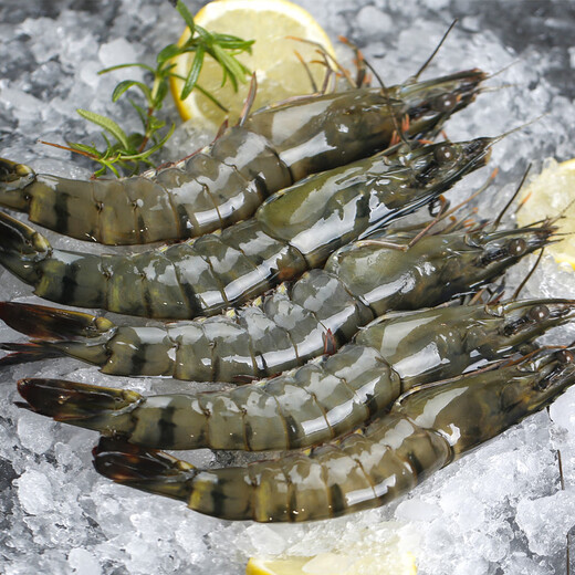 Wanjing Domestic Live Frozen Black Tiger Shrimp Single Frozen Ice-Free Net Weight 2Jin Jin is equal to 0.5kg/box 31-40 pieces Hot pot seafood New Year's goods