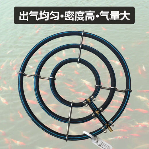 Er Jiagong Koi Fischpool Blase rund nano-explosive Sauerstoffscheibe großer Fischtank raffinierter Sauerstoff Blasenstreifen-Fischteich Edelstahl 2 Ringe 25 cm + Haili 9720 Luftpumpe 20W mit 4 Meter