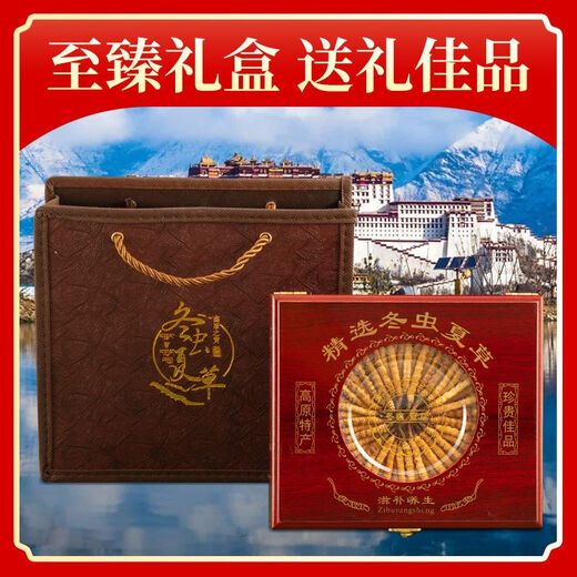 健颐年冬虫夏草正品干货4根/克虫草礼盒装送礼断草 4根1克20克送5根【实发85根】