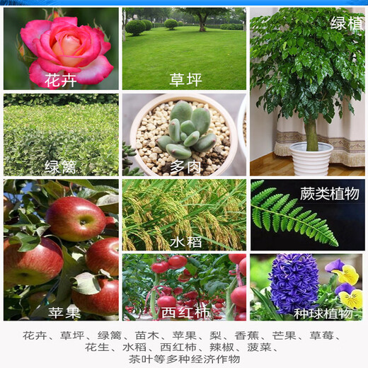 Senhuodiwo high-end garden special fertilizer nitrogen, phosphorus and potassium compound fertilizer seedlings green lawn general compound fertilizer 50Jin Jin is equal to 0.5kg