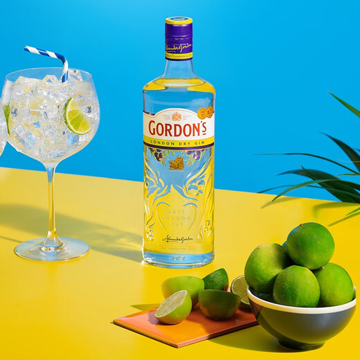 哥顿（Gordon’s）名企严选 哥顿金酒 杜松子酒特选干味伦敦金酒琴酒进口洋酒烈酒 哥顿金酒（英国） 700mL 1瓶