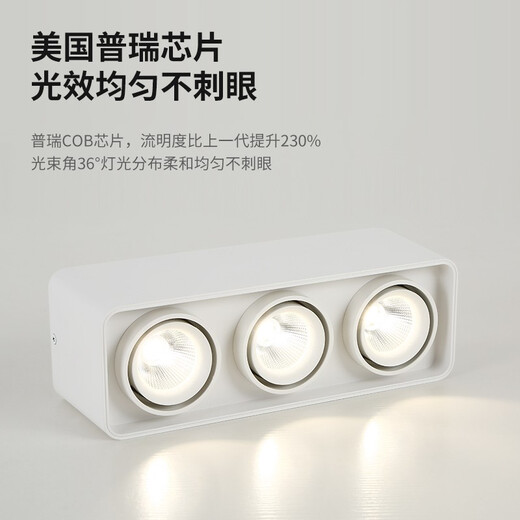 大观园（DGY）明装筒灯智能主卧室无主灯斗胆灯防眩LED格栅灯中山灯具429O 9853-四头-白色-普瑞40W-暖光