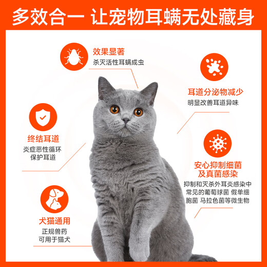Baidar Pet Ear Drops Cat Ear Mite Ear Cleansing Liquid Dog Special Antibacterial Anti-Itching Ear Cleaning Softening Ear Wax Anti-Inflammation 1 Pack Compound Nystatin Ear Ointment 10g