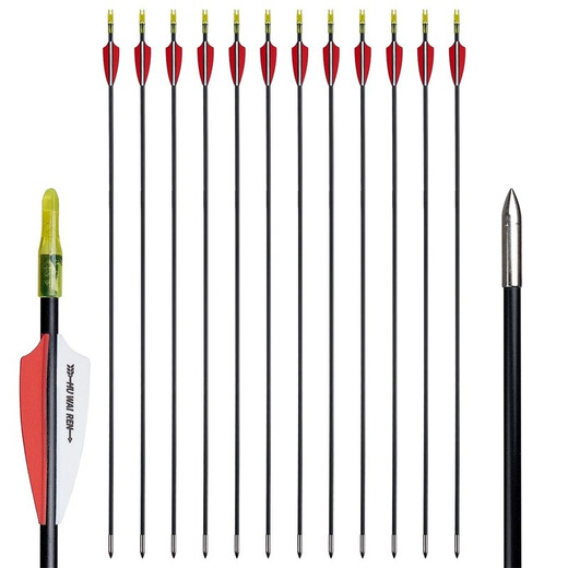 HUWAIREN Bogenschießen Erwachsene Recurve-Bogen Wettkampf Metallrollenbogen Militär-Fan-Ausrüstung Pfeil- und Bogen-Set Fitnessgeräte Black Panther 6 Übungspfeile (Fiberglaspfeile) 30 lbs.