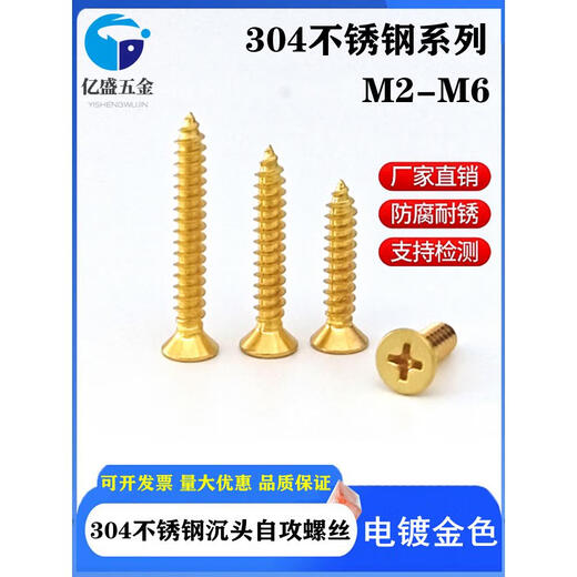 Pengju Golden 304 Edelstahlschraube Kreuzungsköpfe selbstklopfen ausgedehnt flacher Kopf Holzzahnschraube M2m3m4m5m6 m2*20200 Stücke