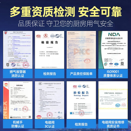 立可安 立可安科技液化气报警器家用丙烷泄露厨房煤气超标声光报警器可燃气体探测器 A款：新国标838液化气丙烷