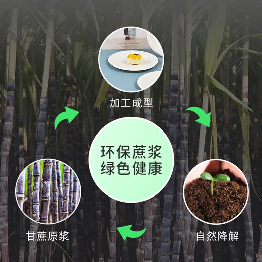 Temeiju disposable plate 10-inch cake fruit paper plate thickened biodegradable dinner plate cutlery 30 pieces 26cm