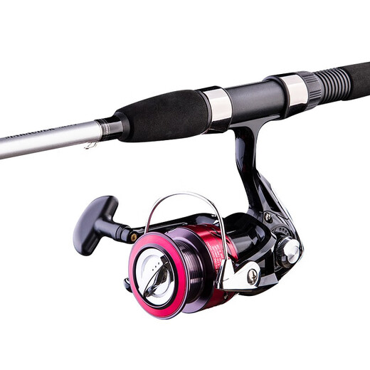 Daiwa (Daiwa) Luya -Stange Vollständiger Satz Fischereisen Marauder Einstangen Wasser Tropfenrad Spinnrad Set Carbon Pist