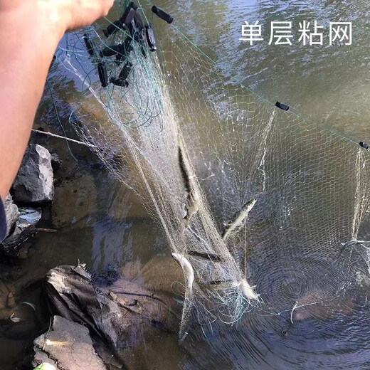 Yuxige fishing net, small fish net, white strip net, sticky fish net, single layer net, fine meal strip fish net, wire net, catching fish net, fishing net, dipped fish net, single layer sinking net, 1.2 meters high, 25 meters long, 1 finger