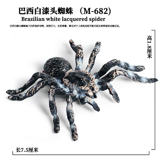 Simulated rubber spider Halloween prank toys Simulated spider poisonous spider insect animal model children's toys Ox-684 Brazilian red velvet spider 0.009KG