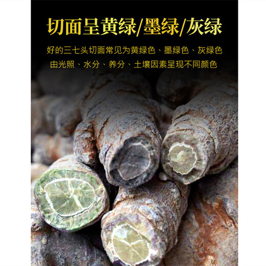 Kang Yuzun Panax Notoginseng Yunnan Panax Notoginseng Tablettes sans coupe 37 pièces Tianqi [20 comprimés Panax notoginseng sans coupe 500 grammes]