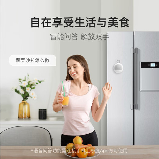 Xiaodu Smart Speaker Lexiang Edition Portable Bluetooth Speaker Mini Speaker Xiaodu Smart Speaker Intelligent Voice Assistant Bluetooth 5.0 Connection Xiaodu Smart Speaker Lexiang Edition