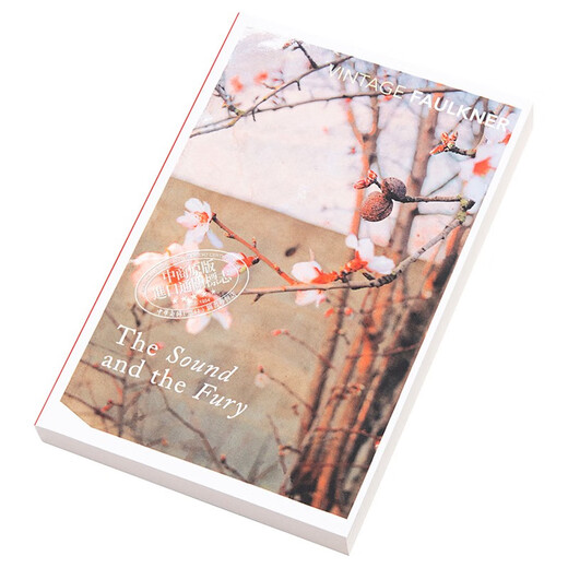 喧哗与骚动 英文原版 The Sound and the Fury 威廉 福克纳获奖