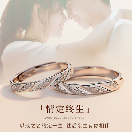 MZMZ Platinum Couple Ring pt950 Platinum Fashion Engagement Ring Ring Valentine's Day Birthday Gift for Girlfriend Light Luxury Style - Love Dating Three Lives Pair Ring (Live)