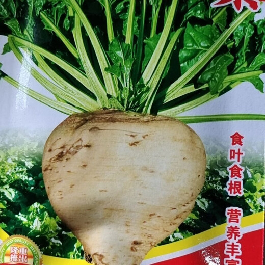 Big-leaf beet seeds, beet seeds, authentic northern vegetable seeds, complete hardcover original factory, big-leaf beet seeds, beet seeds, authentic northern vegetables.