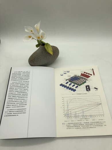 Meilleures pratiques pour l'intégration du centre de données: conception des ordinateurs de qualité entrepôt (livre original, 3e édition) 9787111 ** 4866