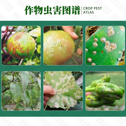 Hulian Plant Protection 47% Spring Thunder King Copper Citrus Fruit Tree Canker Bacteria Angular Spot Soft Rot Pesticide Fungicide 500g*1 Bag