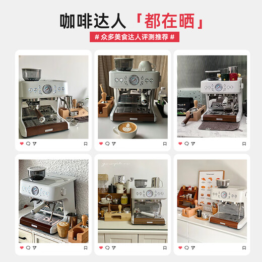 柏翠（petrus）意式咖啡机家商用全半自动研磨一体机小型浓缩奶泡机双泵双炉 PE3899 节日礼物 PE3899咖啡机+制冰机套装