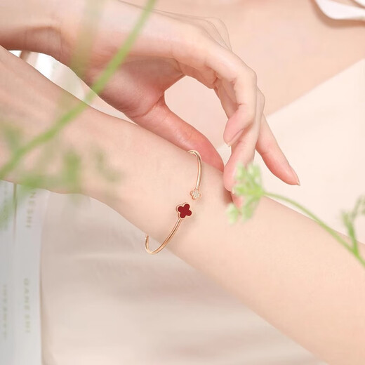 Givenchy GIVANZE Light Luxury Love Bracelet Women's Bracelet Jewelry Confession Anniversary Birthday Gift for Girlfriend and Wife Red Agate Four-Leaf Clover Bracelet