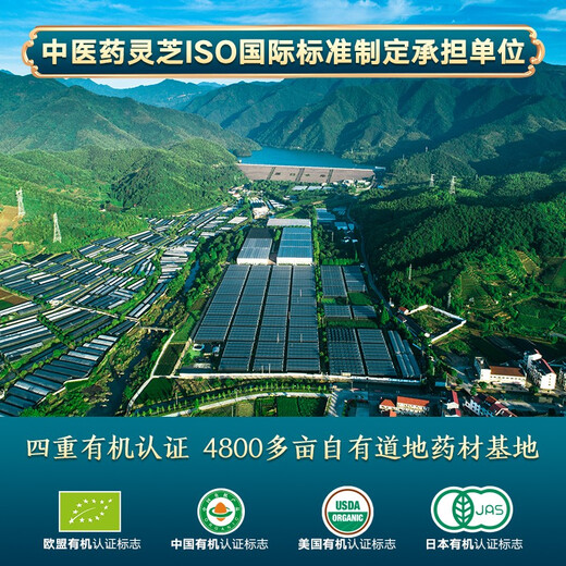Shouxian Valley [Fundación sólida profunda] Ganoderma lúcidum lúcido Spore de pared Bandeo de regalos Mejoran los productos de salud de inmunidad