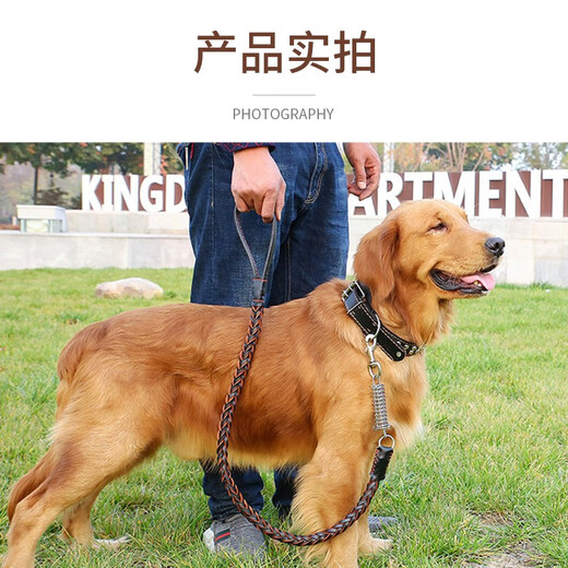 Mastiff Shaobao dog leash, traction rope, dog leash, large and medium-sized dog walking leash, golden retriever collar, pet dog outing supplies, black M size, recommended 30-50 Jin Jin is equal to 0.5 kg