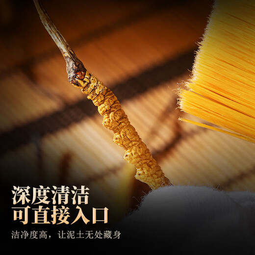 [Tibet Straight Hair] Nagqu First Stubble Cordyceps Authentic High-altitude Dried Cordyceps Gift Boxes First Choice Selected Extra Large Grass 4 Roots/G 100 Roots