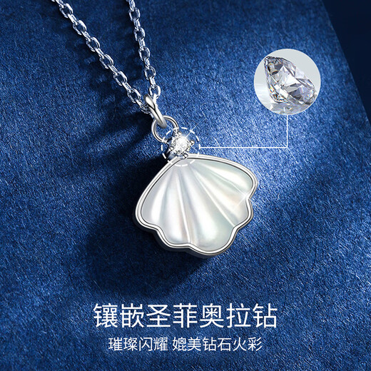 VIGG Yibeizi Silver Necklace Women's Collarbone Chain Valentine's Day Birthday Gift Confession Anniversary Gift for Girlfriend and Wife Jewelry Yibeizi Necklace (White) Ten Warehouse Delivery