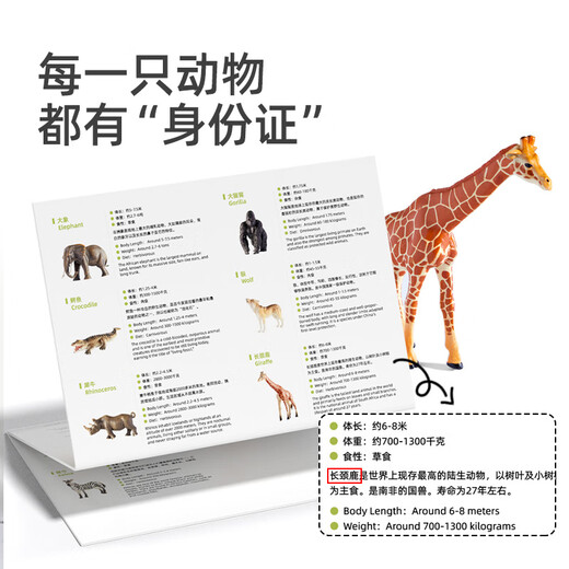 弥鹿（MiDeer）动物模型儿童仿真玩具宝宝礼物水陆野生动物园动物大套装-15pcs