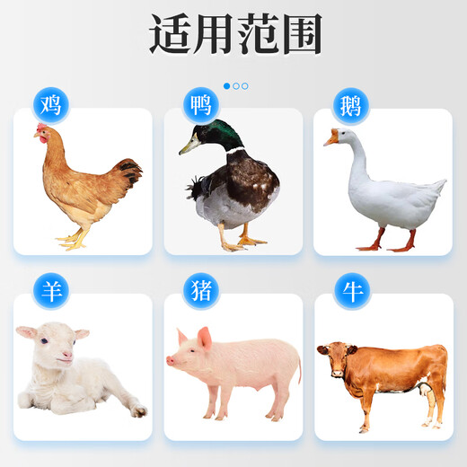 Nanhua Qianmu veterinary lysine growth agent growth hormone feed additive for pigs multi-dimensional long hair and meat to promote fattening and weight gain Lysine 200g/bag