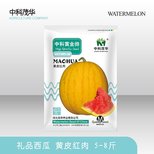 Zhongke Maohua Fruit Seeds Jin Linglong Golden Handsome Watermelon Seeds Yellow Skin Red Flesh Gift Watermelon Seeds Small Super Sweet Picking Garden Zhongke Golden Handsome 20 capsules/bag