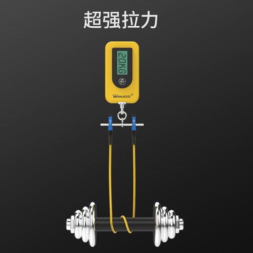 Wanjeed Faser-Jumper LC-LC Single-Mode Dual-Core-Telekommunikationsgrad-Pigtail SC/FC/ST-Single-Mode-Single-Core-Halogen-freie optische Kabelfaser-Eintrag Innenkabel LC-LC Single-Mode-Doppel-Core-2-Meter