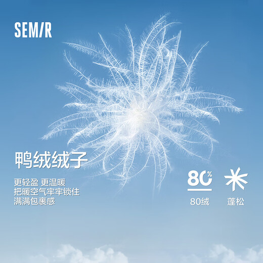 Semir Semir Down Jacket Women's Short Stand Collar Contrast Color Three-Proof Warm Commuting Jacket 24 Winter New Style 109724113012