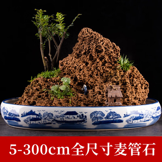 Shiguang Xiaozhan's high-quality gold straw stone, natural water-absorbing stone, rockery, bonsai, strange stone, plant fossil small ornaments, straw stone 16-20cm piece