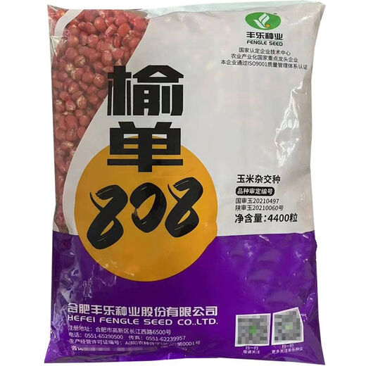 North China corn seed Yudan 808 corn seed high yield big cob corn seed with uniform ear length red shaft dent corn Yudan 808 (about 4400 grains about 3Jin Jin equals 0.5kg) North China planting