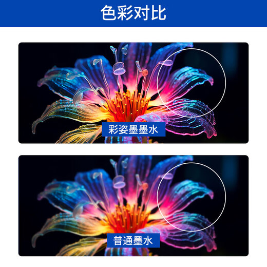 BTD60BK/5009墨水 适用兄弟 T425W T420W T426W T725DW打印机墨水 黑色500ml