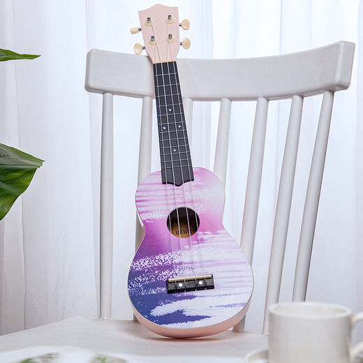 Hochwertige Ukulele-Anfänger, Studenten, Erwachsene, Frauen und Internet-Prominente können kleine Gitarren 23-Zoll-Graffiti Blue Standard Version spielen